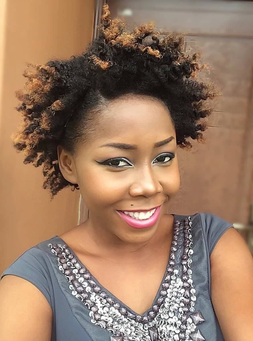 75 Cute Afro Kinky Twist Hairstyles Images for Oval Face