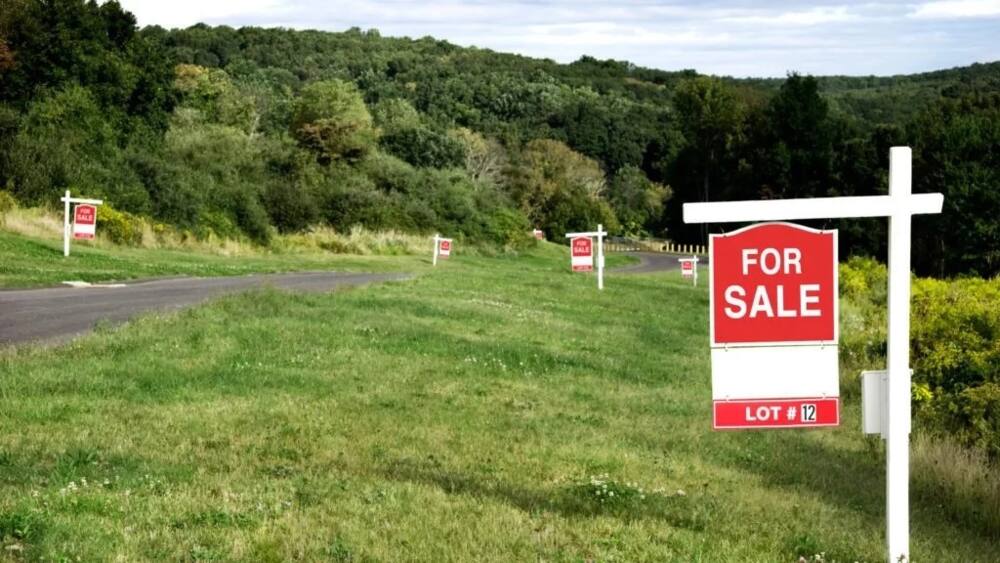 Buying land in Kenya: What you need to know before buying