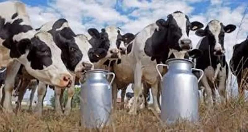 dairy farming 2018