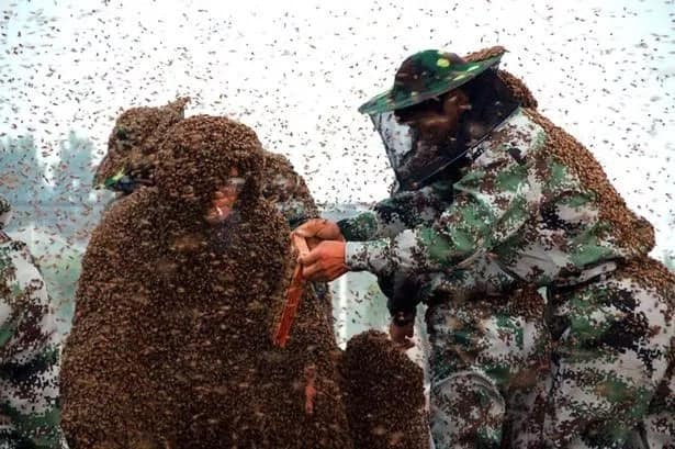 Man Sets World Record By Covering Himself In 100kg Of Bees