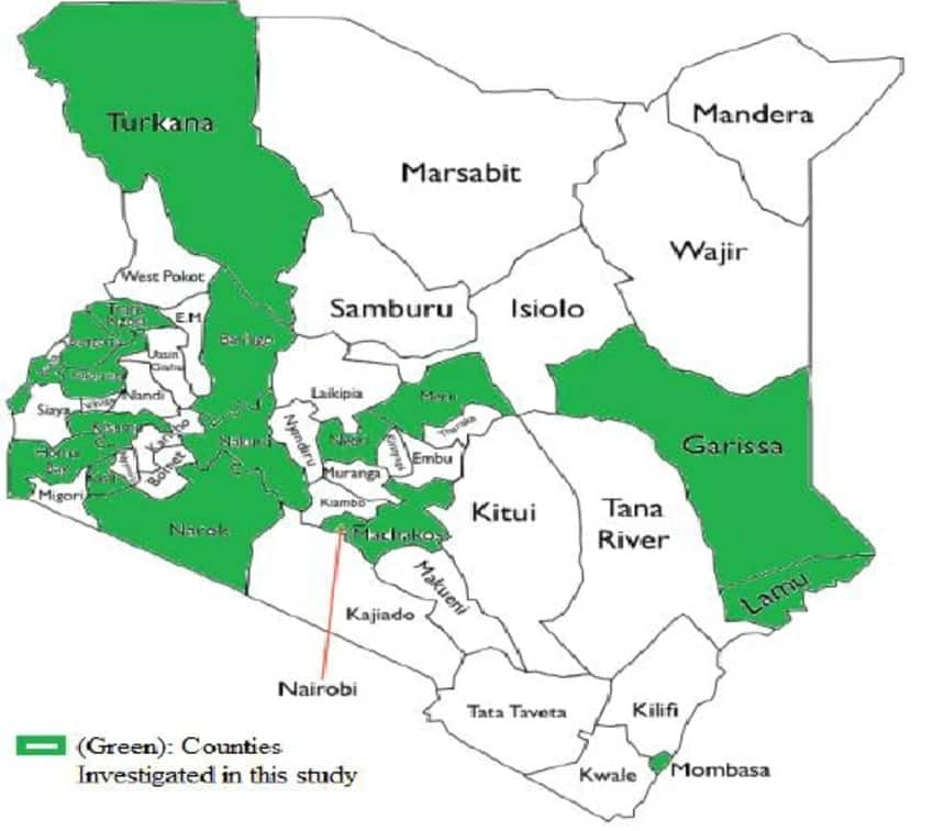 Largest counties in Kenya by size Tuko.co.ke