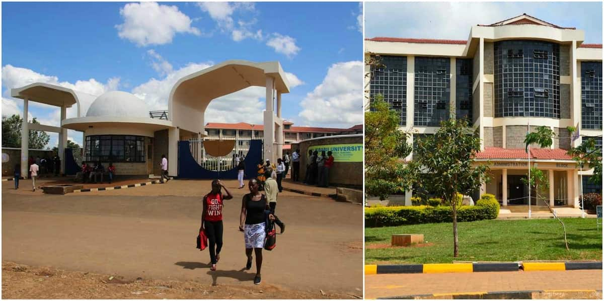 Kibabii University College Courses, Fee Structure & Application - Tuko ...