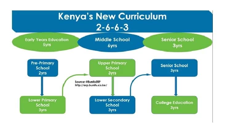 objectives of kenyan education