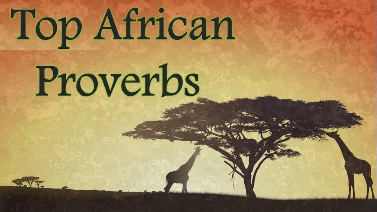 Funny African Proverbs About Life