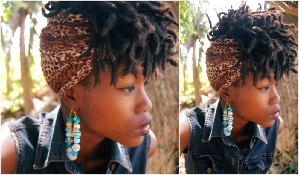 Afro kinky hair dreads