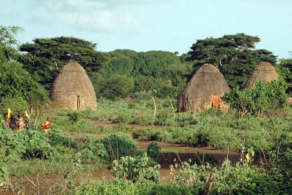 Facts about Kenyan tribes - Gods, population and map