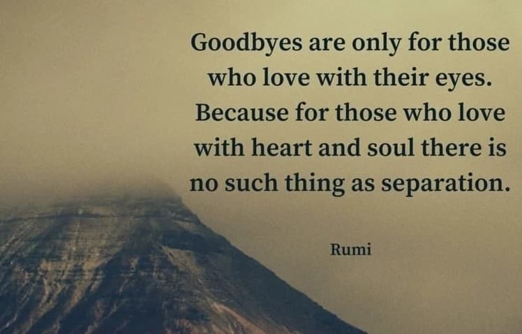 Rumi quotes on life
Rumi quotes green 
Alone quotes rumi