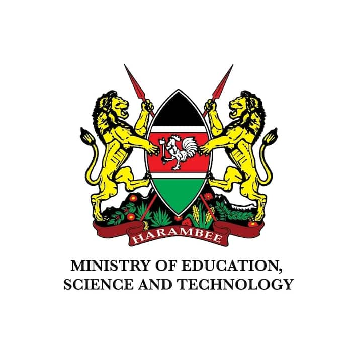 Education in Kenya facts and statistics Tuko.co.ke