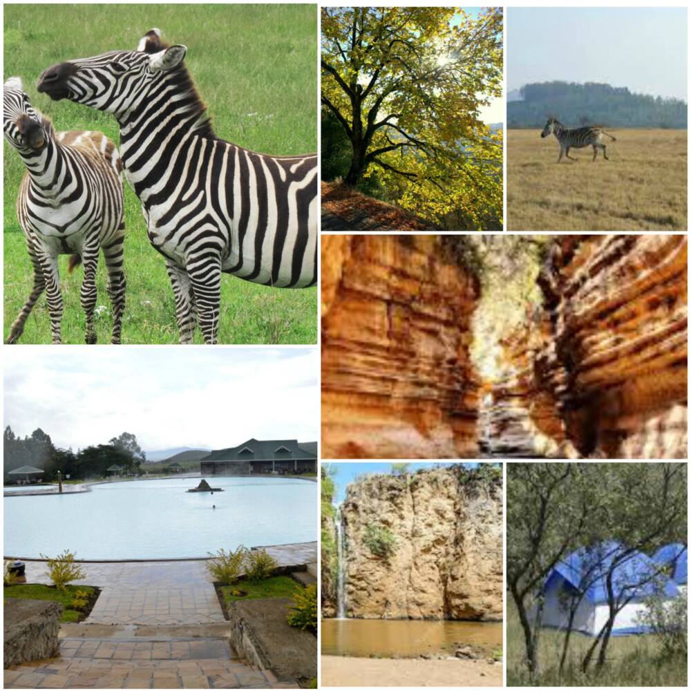 main tourist attractions in kenya