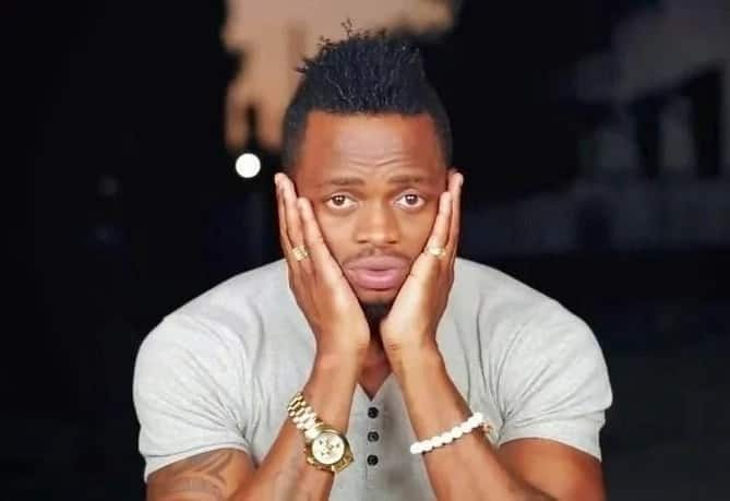 Diamond Platinumz has no boundaries - Zari Hassan finally opens up on what caused the ultimate fallout with Tanzanian singer