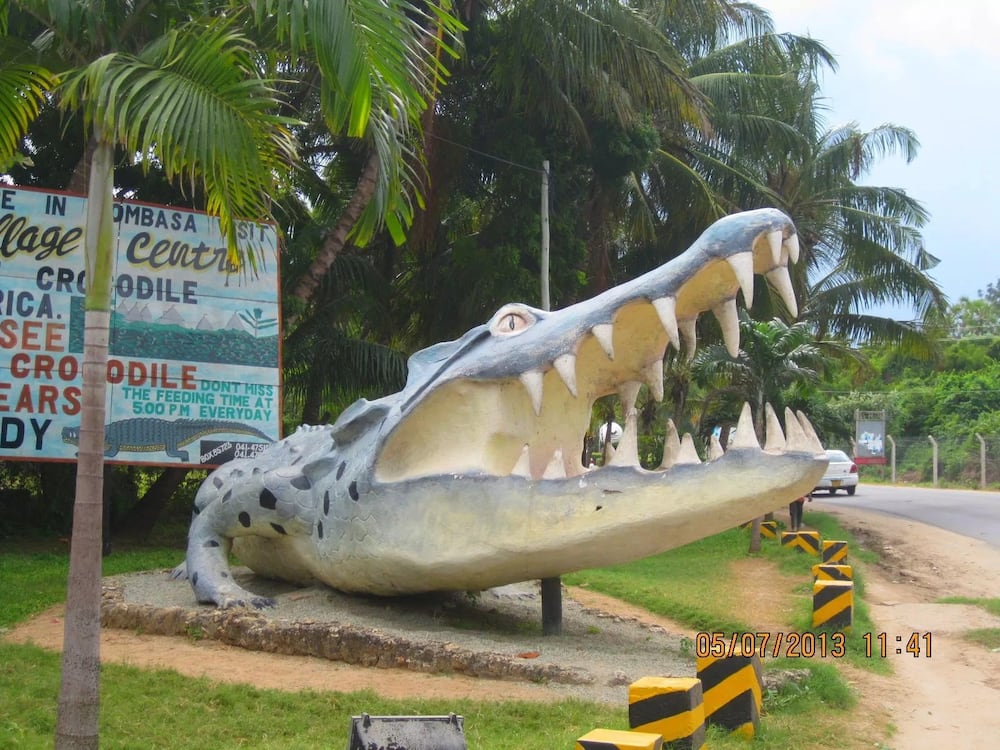 Photos: Iconic Mombasa's Mamba Village statue destroyed