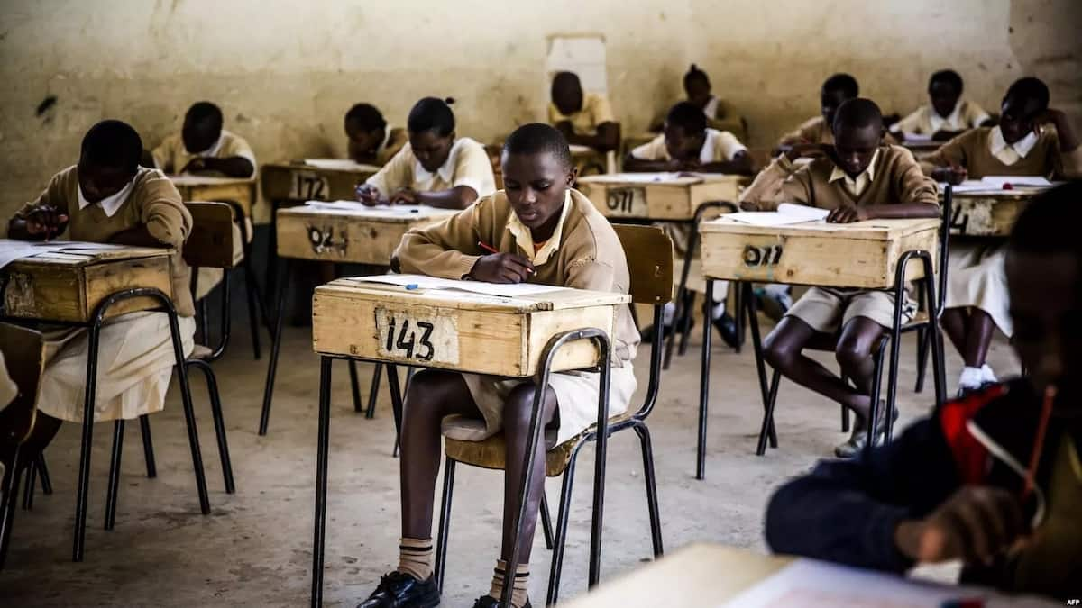 2-6-6-3 education system in Kenya explained - Tuko.co.ke