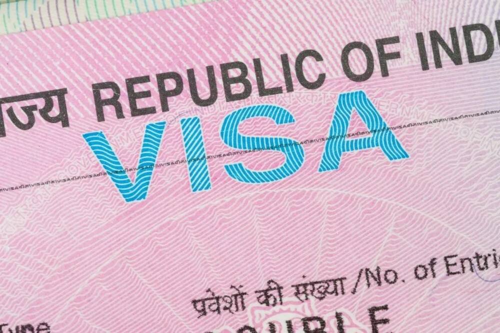 Indian visa application fees & requirements