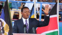 Canada Dismisses Alfred Mutua's Claim There're Job Opportunities for Kenyans in Country