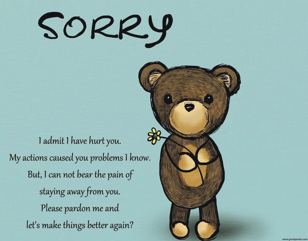 Sorry Messages for Your Boyfriend - Tuko.co.ke