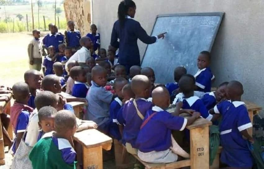 Free primary education in Kenya: challenges and solutions - Tuko.co.ke