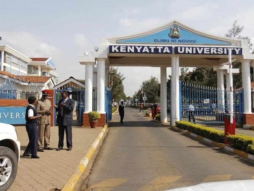 application letter for kenyatta university