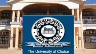 Tom Mboya University College admissions, fees structure, courses ...