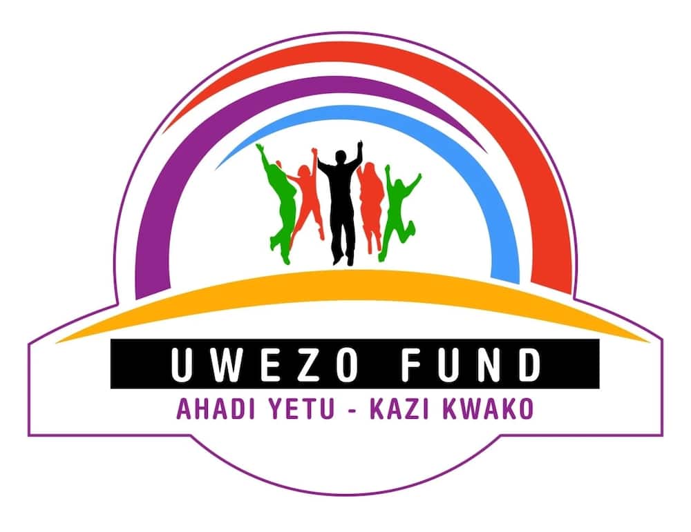 youthfund kenya
kenya youth empowerment fund
uwezo fund application form
youth fund individual loan
youth fund application form
uwezo fund kenya
uwezo fund requirements
uwezo funds
kenya youth fund
youth development fund
uwezo kenya
uwezo fund