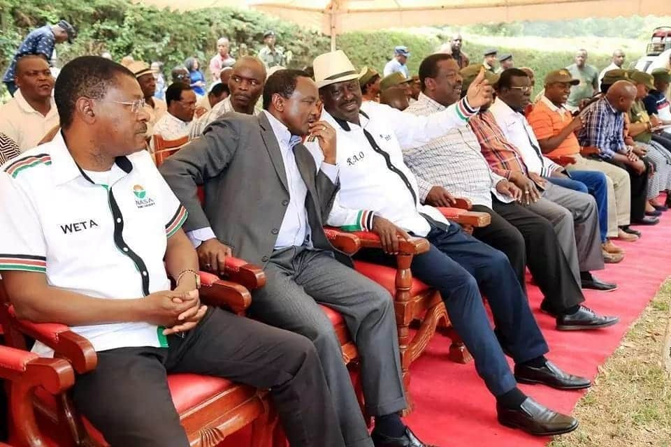 Ni wazi kwamba Kalonzo Musyoka hawezi kuaminika-Alfred Mutua