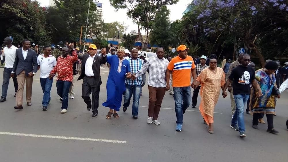 NASA to be changed into a resistance movement - Raila