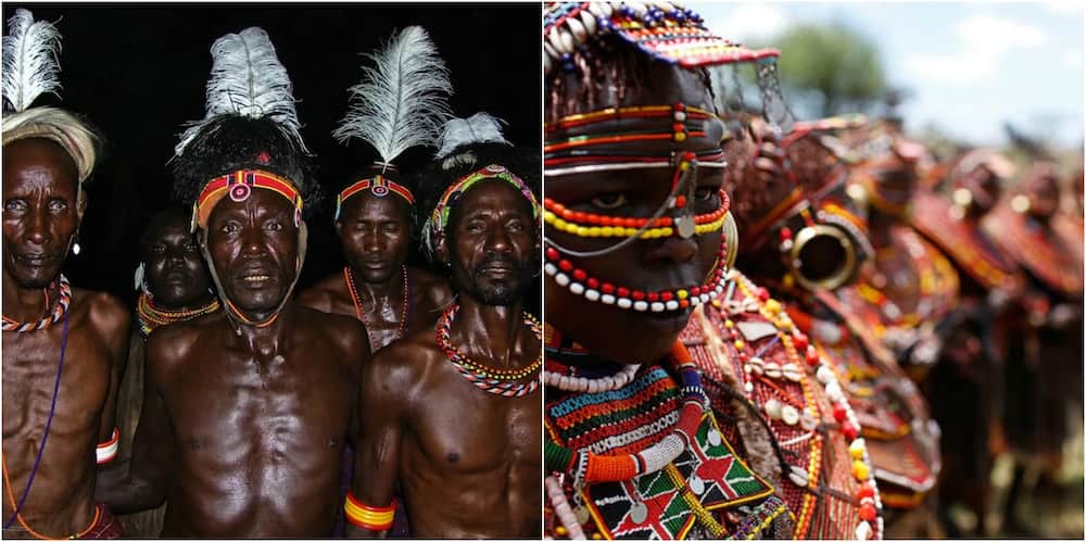 Tribes in Kenya
How many tribes in Kenya
Number of tribes in Kenya