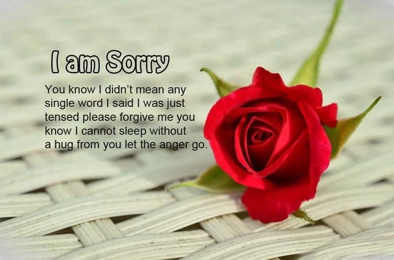 Sorry Quotes For Love For Him