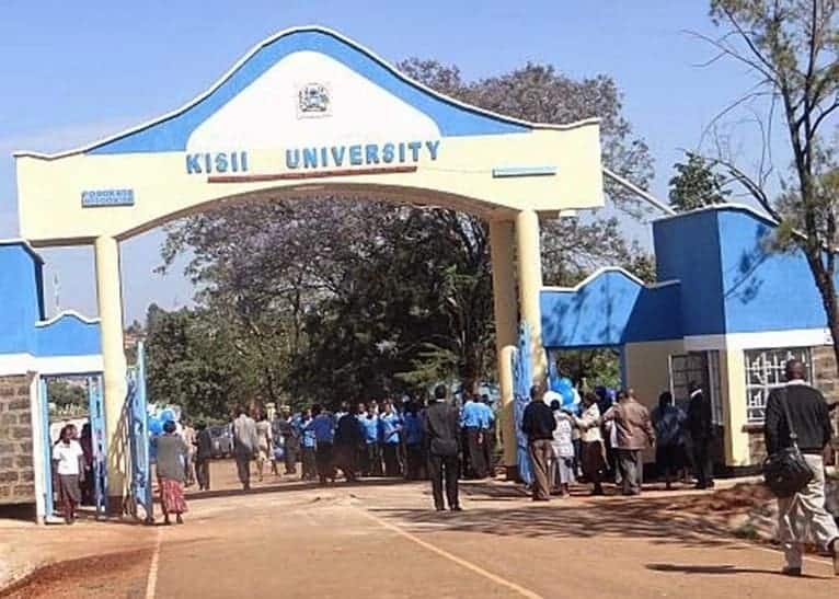 phd scholarships in kenyan universities