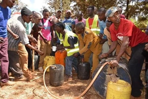 Vijana 5,000 waliokuwa walevi chakari Kiambu wagoma, wanataka ujira wao