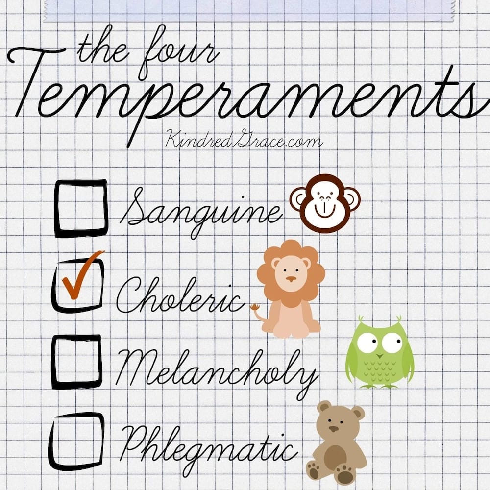 Four personality types and their traits