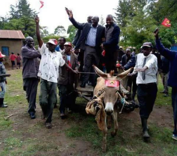 Uhuru's point man causes a stir after campaigning on a donkey cart
