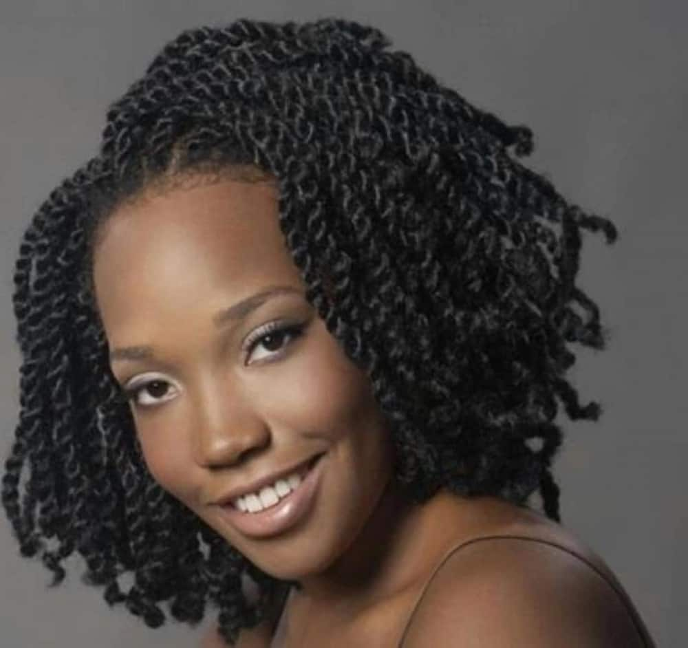 Afro Kinky Braids Hairstyles Pictures