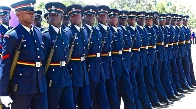 Charles Owino awaudhi Wakenya kwa jinsi alivyojibu maswali kuhusu ujeuri wa polisi