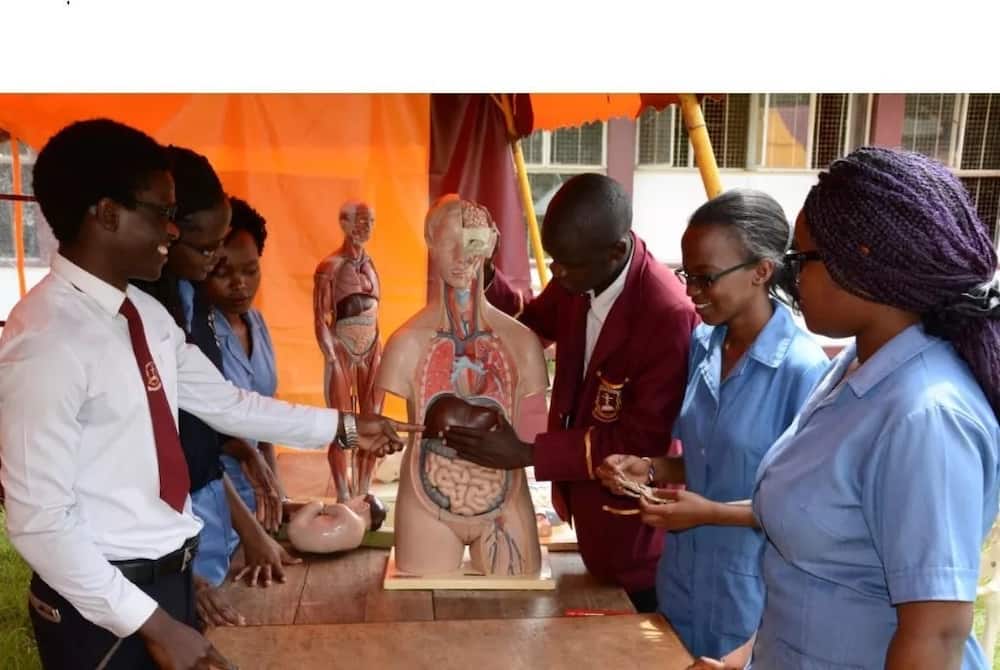 Kenya Medical Training College Fee Structure and Courses Offered