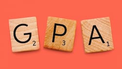 How to calculate GPA (Grade Point Average): Formula and how to use it
