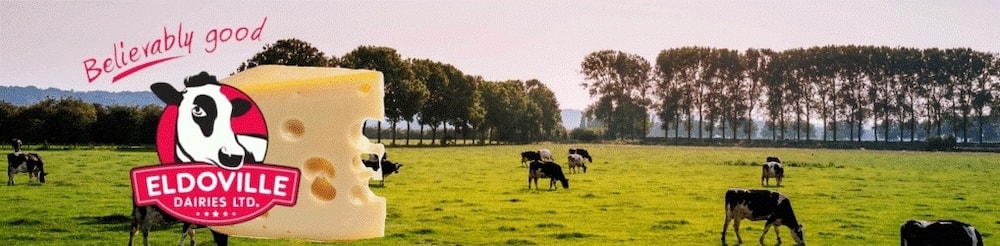 dairy farming kenya