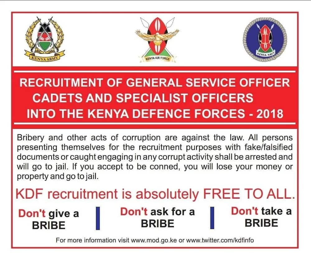 example of kdf application letter