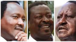 Wanasiasa wa ODM, Jubilee na Amani wamkaidi Raila kuhusu Kalonzo Musyoka 2022