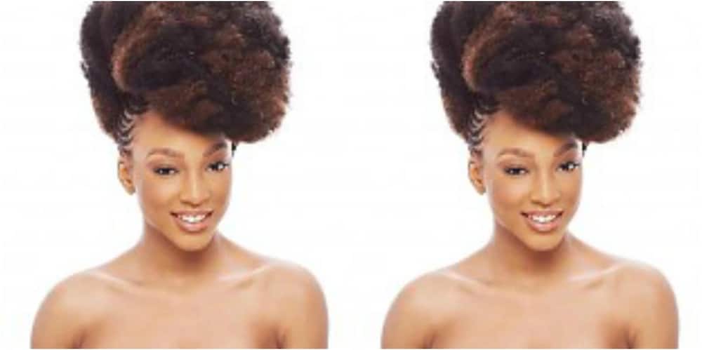 Afro kinky braiding hair