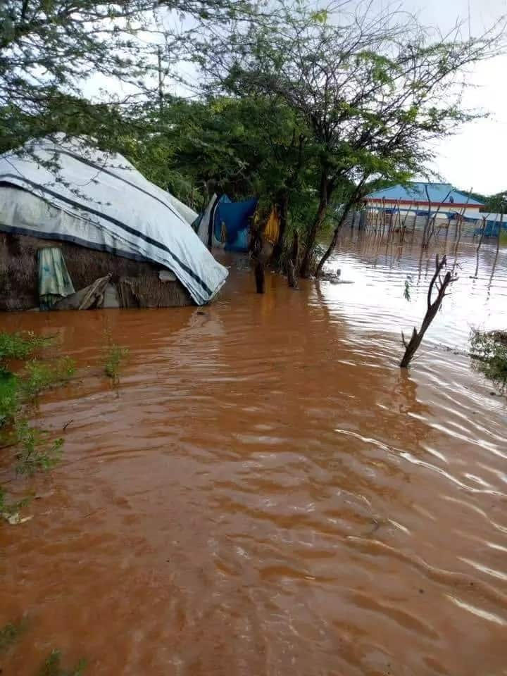 Photos: Cries of help as half of Garissa town is submerged in flood waters following heavy rain