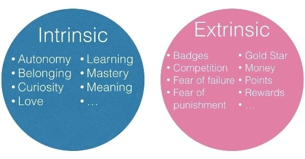 define motivation, extrinsic motivation, types of motivation, forms of motivation