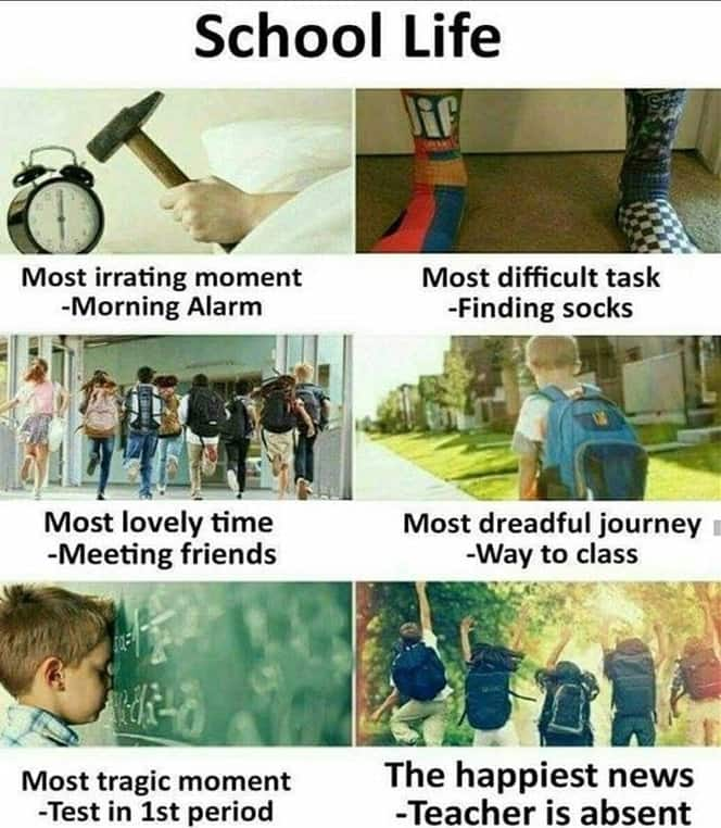 Funny memes about school