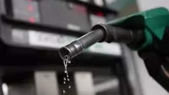 Pain at The Pump: Create Fuel Tax Money to Reduce Cost of Fuel