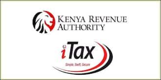 KRA pin registration for a company in Kenya Tuko.co.ke