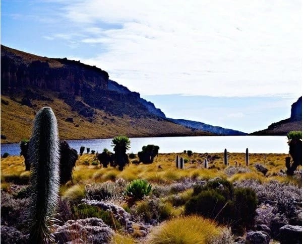 Breathtaking! Lake Michaelson proves that KENYA is magical