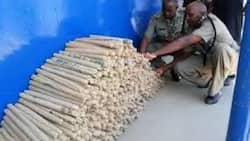 MP dramatically storms police cells to save arrested bhang peddling leader