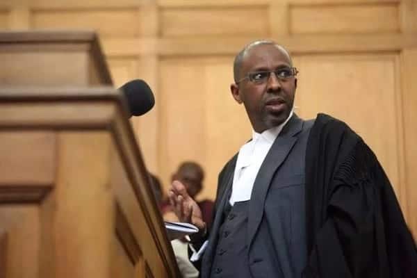Speaker Justin Muturi, lawyer Ahmednasir Abdulahi in heated Twitter exchange over BBI