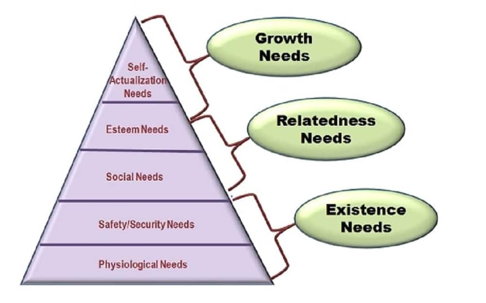 Types Of Motivational Theories