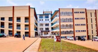 Mount Kenya University virtual campus - registration, courses & fee ...