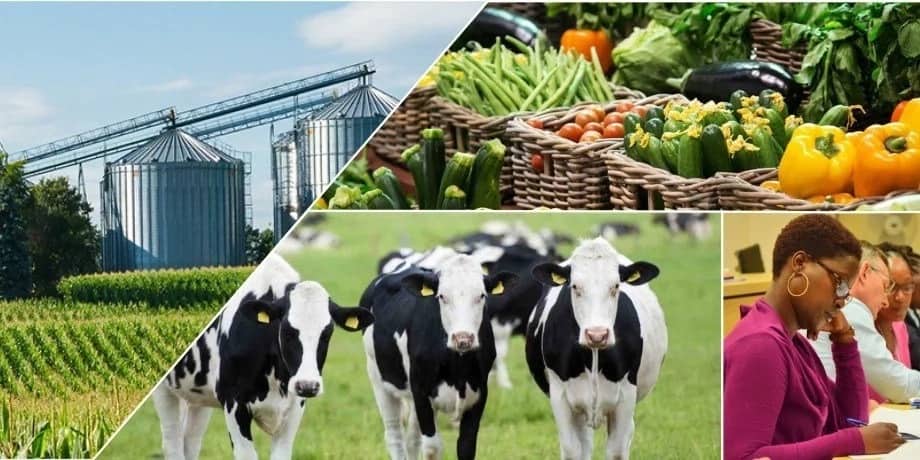 Best ideas for farming in Kenya 2018